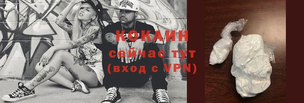 apvp Рославль