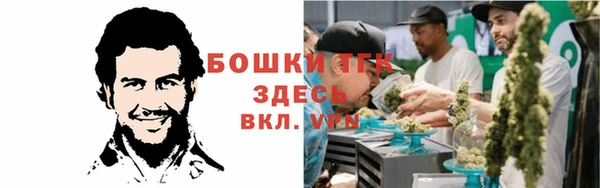 apvp Рославль