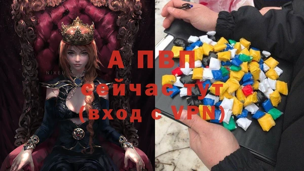 apvp Рославль