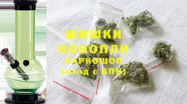 МДПВ Куртамыш